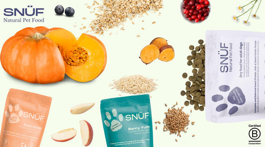 natural and hypoallergenic dog food